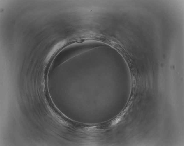 X0000072500054200607211300