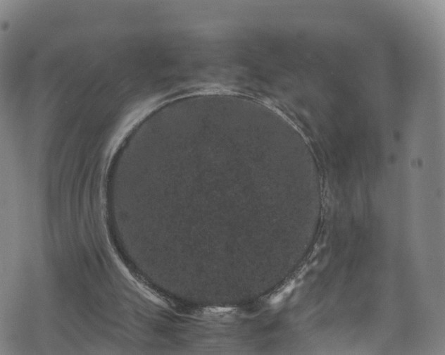 X0000072500055200607211300