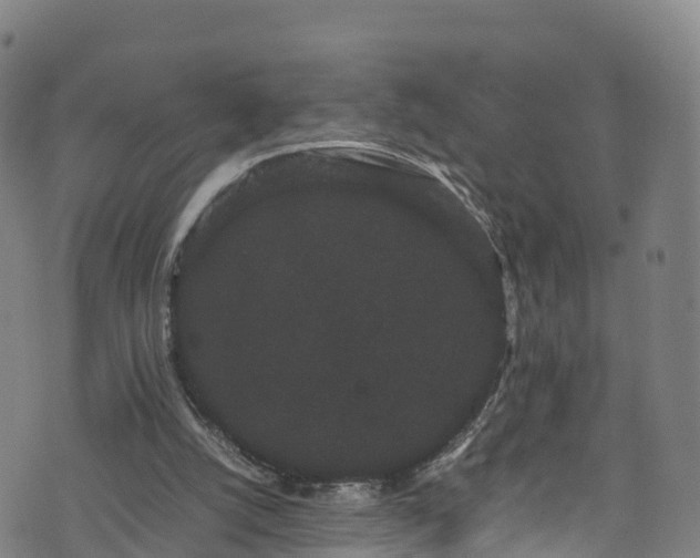 X0000072500056200607211300