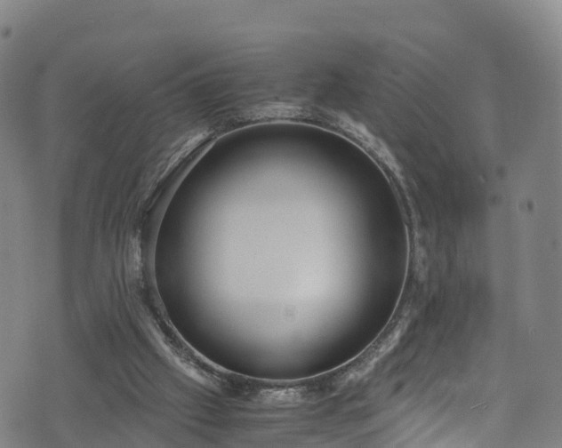 X0000072500057200607211300