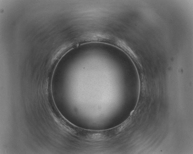 X0000072500058200607211300