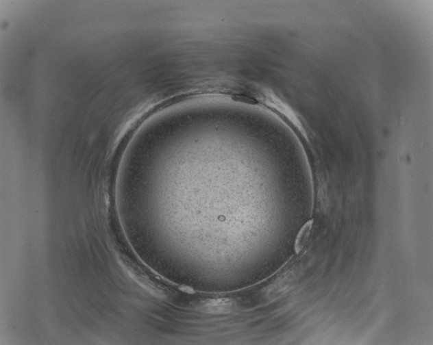 X0000072500059200607211300