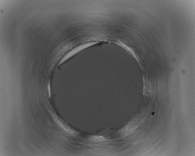 X0000072500061200607211300