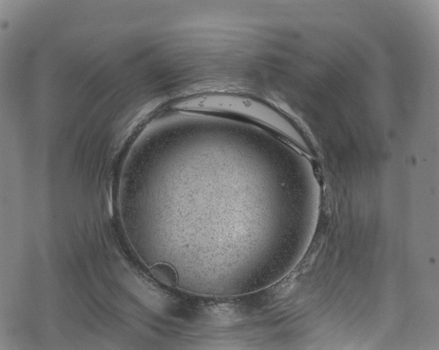 X0000072500062200607211300