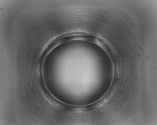 X0000072500064200607211300