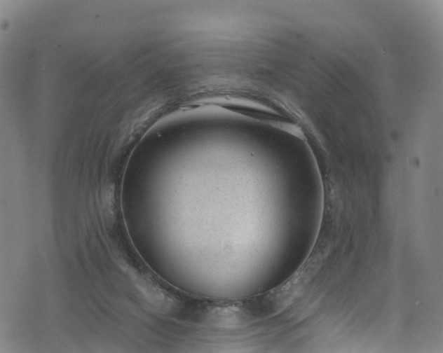 X0000072500066200607211300