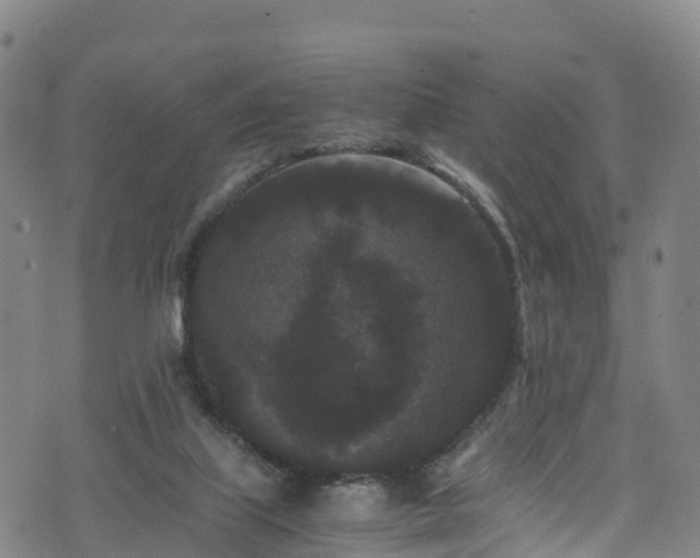 X0000072500067200607211300