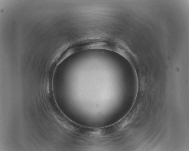 X0000072500068200607211300