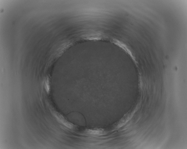 X0000072500069200607211300