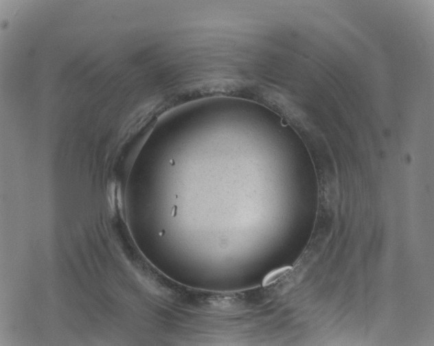 X0000072500070200607211300