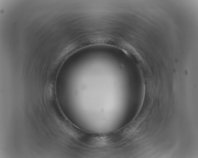 X0000072500071200607211300