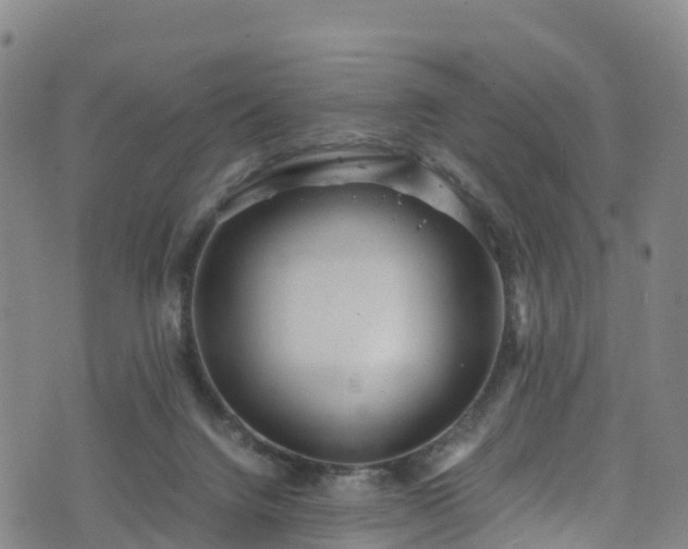 X0000072500072200607211300