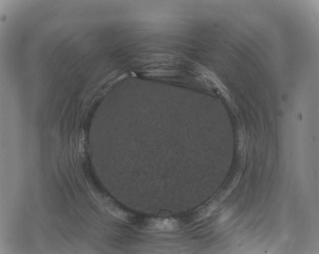 X0000072500073200607211300