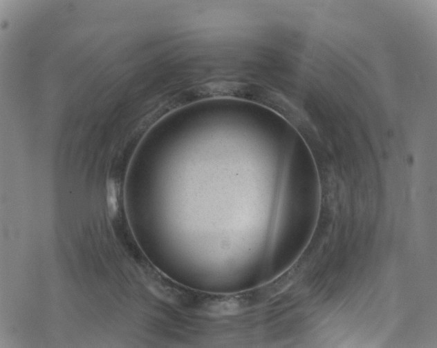 X0000072500075200607211300