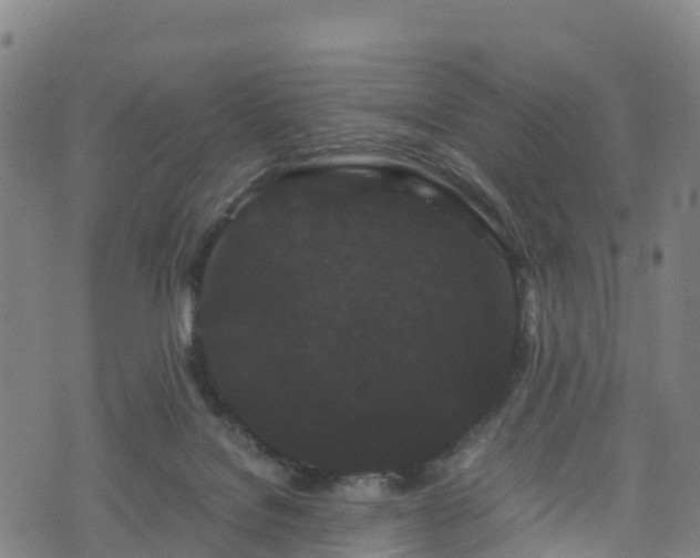 X0000072500076200607211300