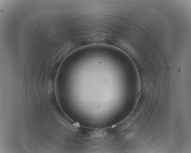 X0000072500077200607211300