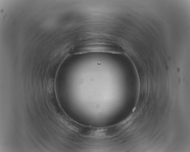 X0000072500078200607211300