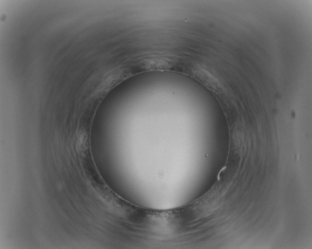 X0000072500079200607211300