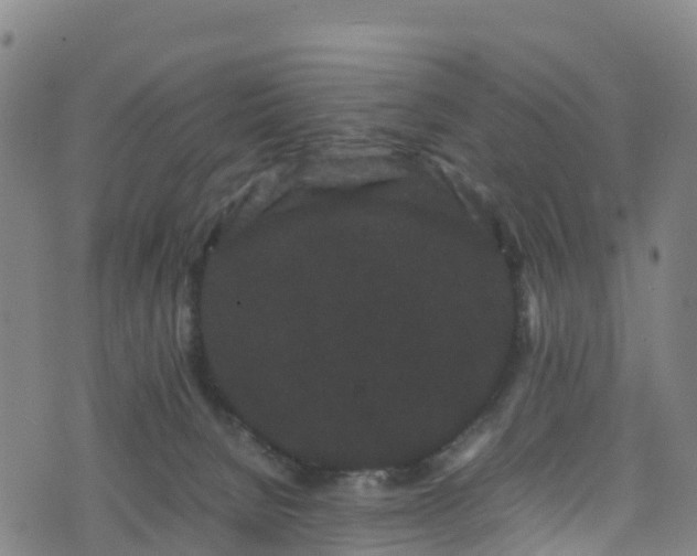 X0000072500080200607211300