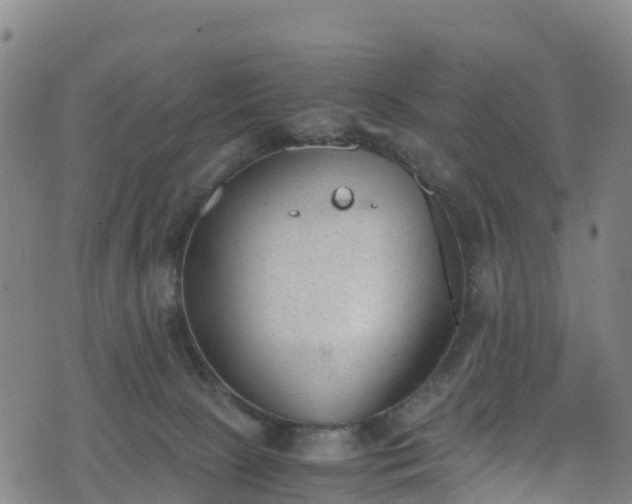 X0000072500081200607211300