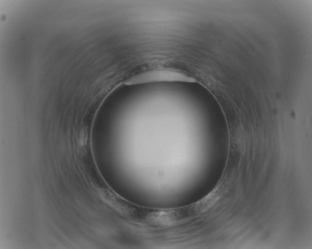 X0000072500082200607211300