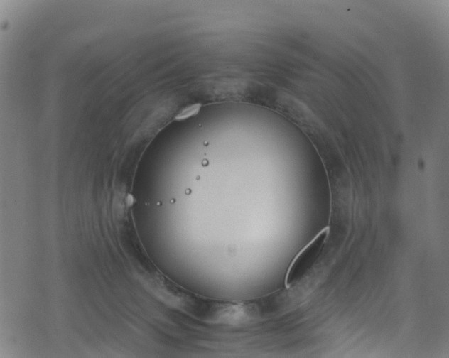 X0000072500083200607211300