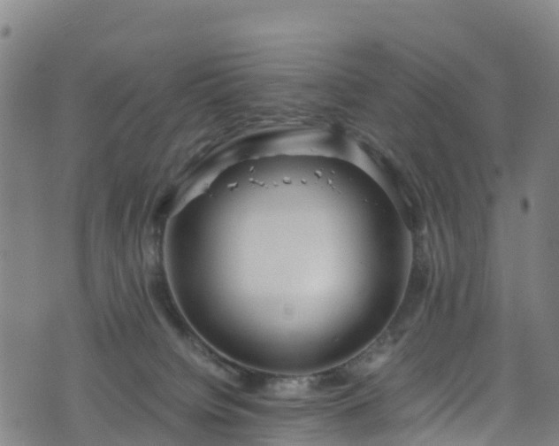 X0000072500084200607211300