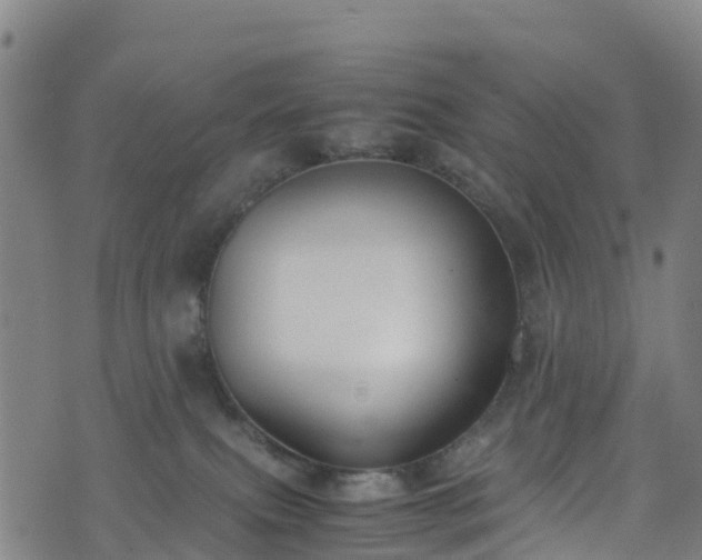 X0000072500087200607211300