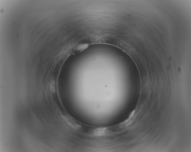 X0000072500090200607211300