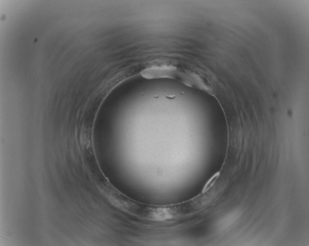 X0000072500091200607211300