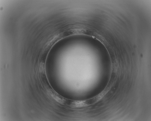 X0000072500093200607211300