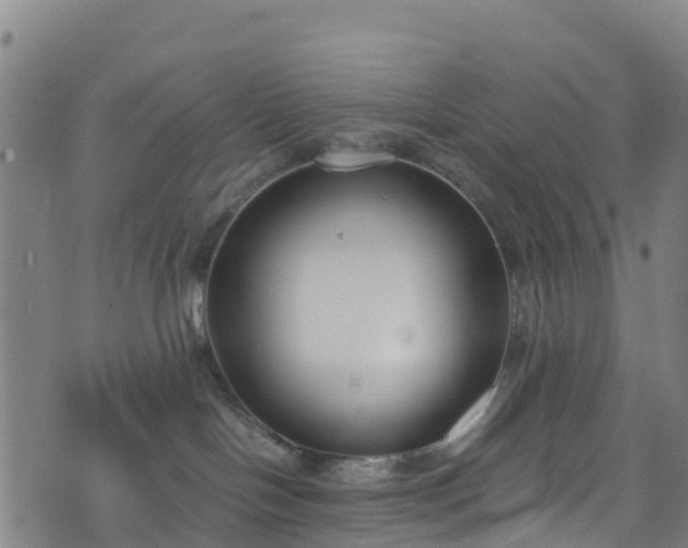 X0000072500094200607211300