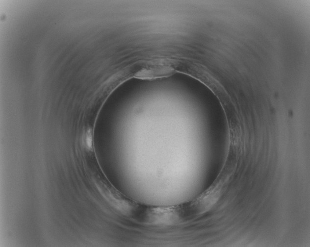 X0000072500095200607211300