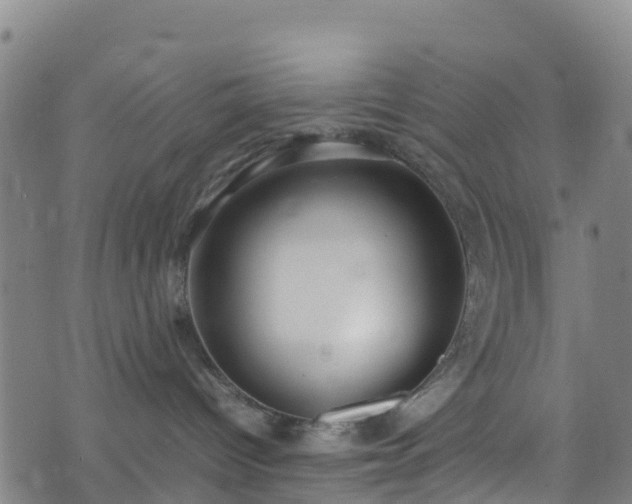 X0000072500096200607211300