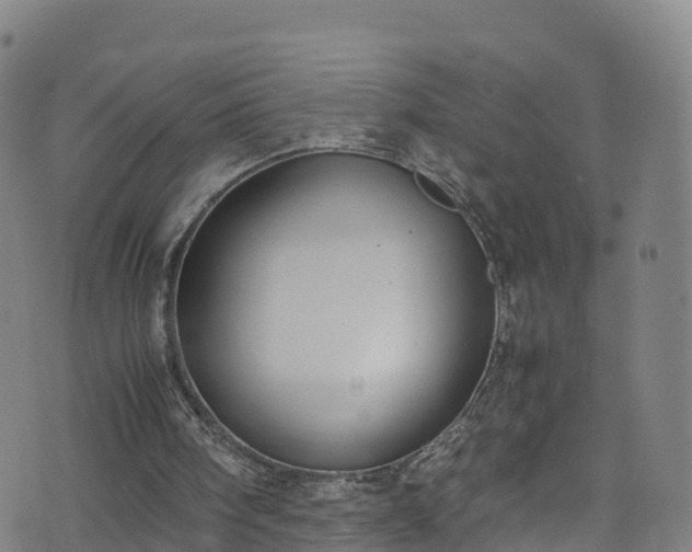 X0000072500098200607211300