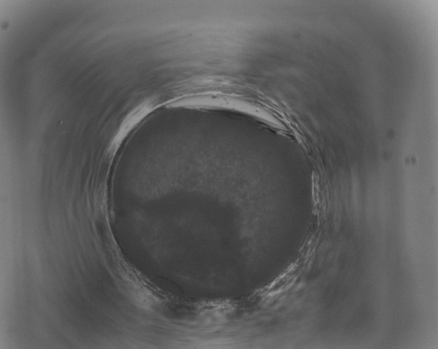 X0000072500099200607211259