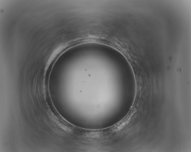 X0000072500102200607211259