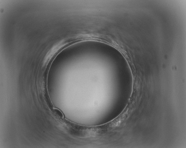 X0000072500103200607211259