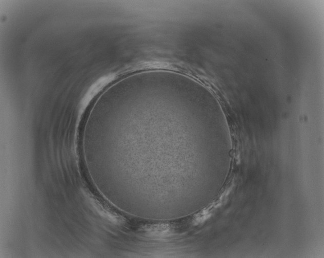 X0000072500104200607211259