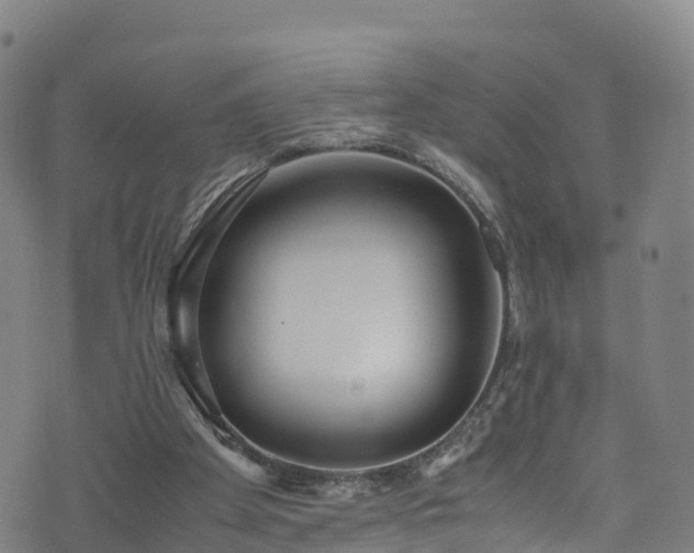 X0000072500105200607211259