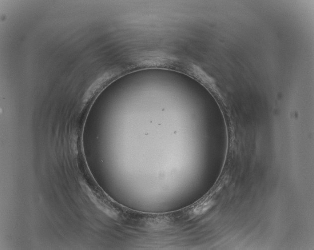 X0000072500106200607211259