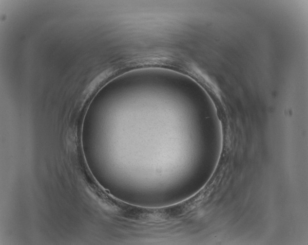 X0000072500107200607211259