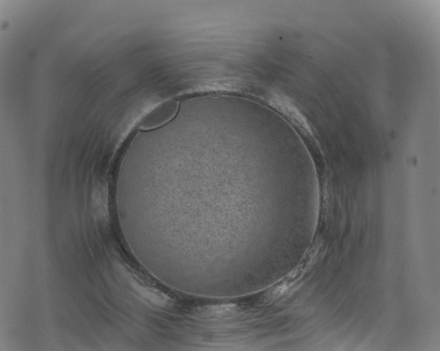 X0000072500108200607211259