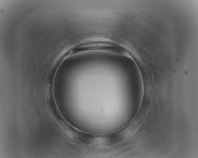 X0000072500111200607211259