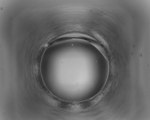 X0000072500113200607211259