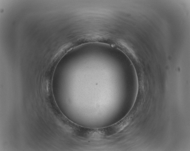 X0000072500115200607211259