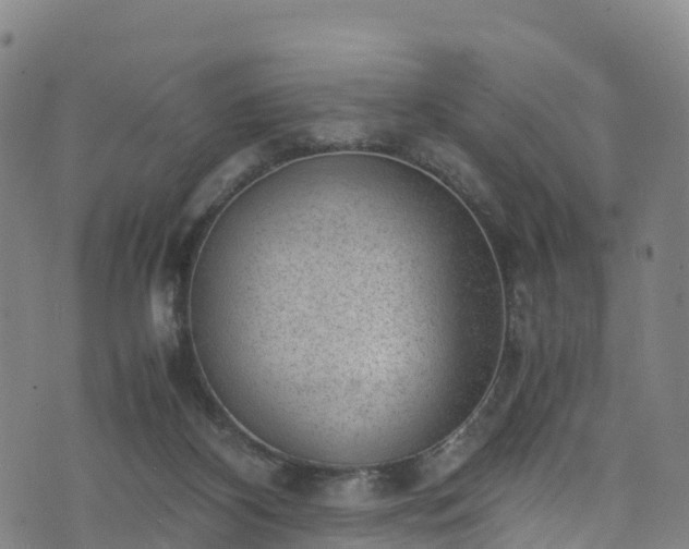 X0000072500116200607211259