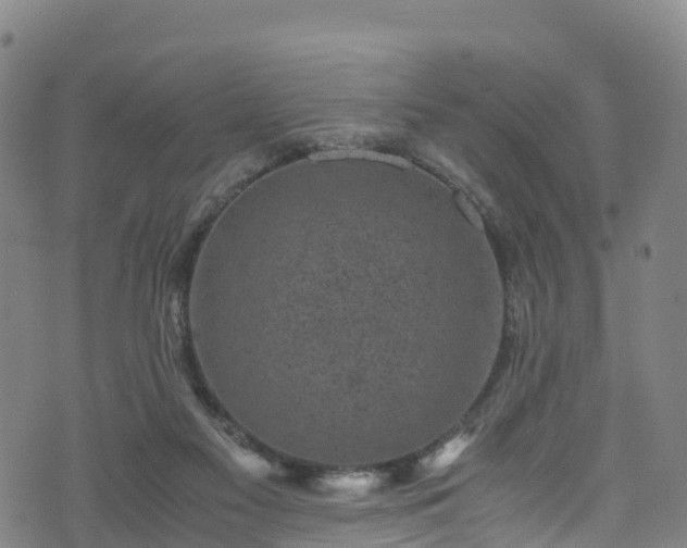 X0000072500117200607211259