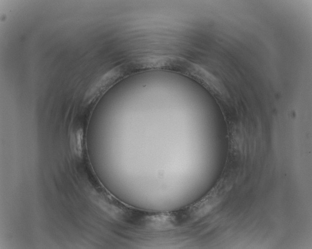 X0000072500118200607211259