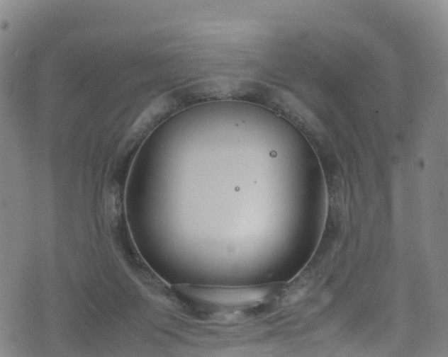 X0000072500119200607211259